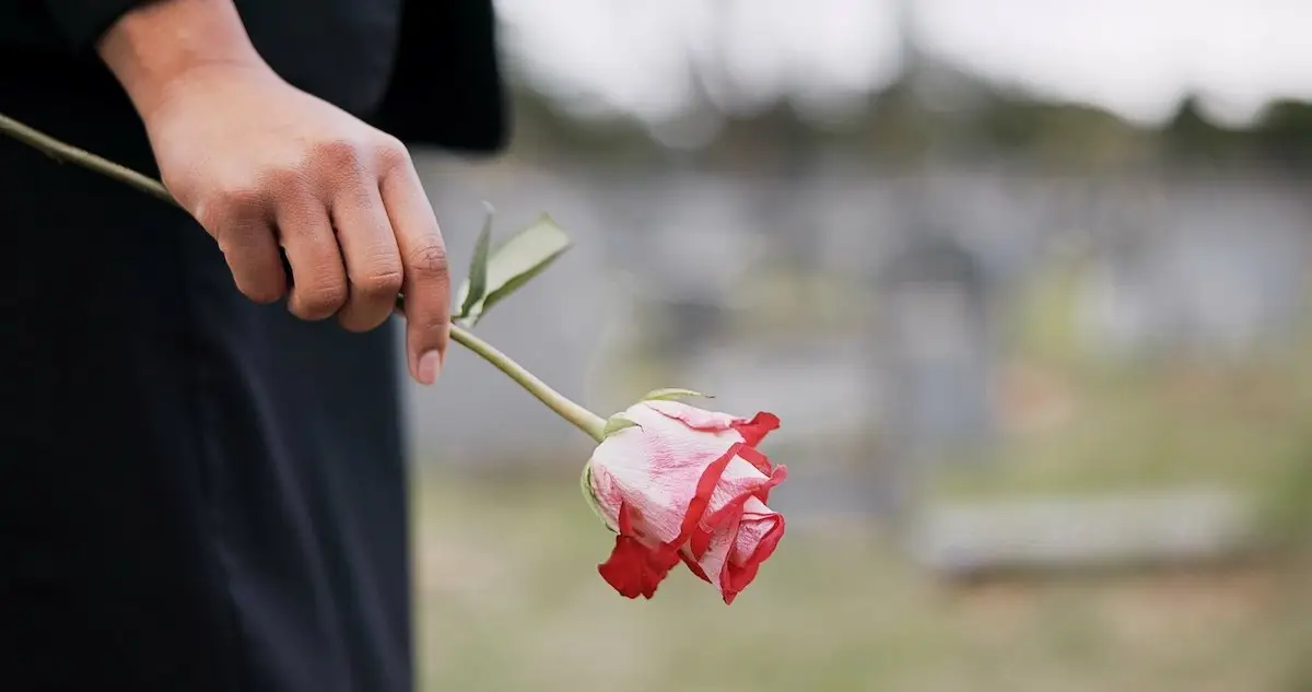 Mourner at graveyard holding a rose to be laid at a grave